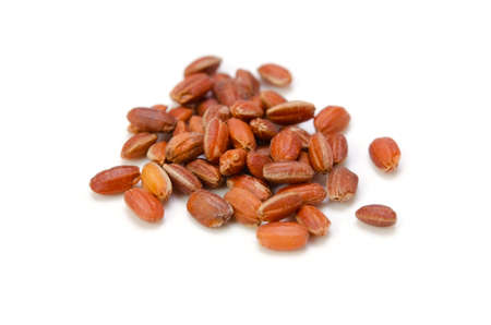 red riceの写真素材