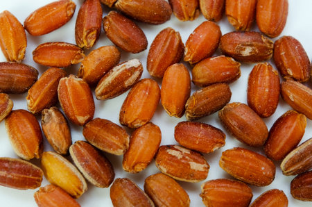 red rice