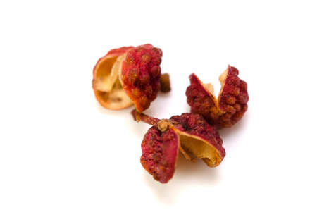 sichuan pepperの写真素材