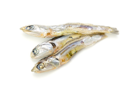 dried sardine