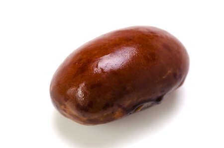 pinto beanの写真素材