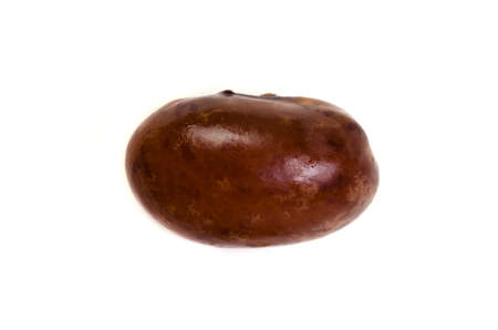 pinto beanの写真素材