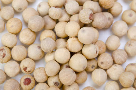 white pepperの写真素材