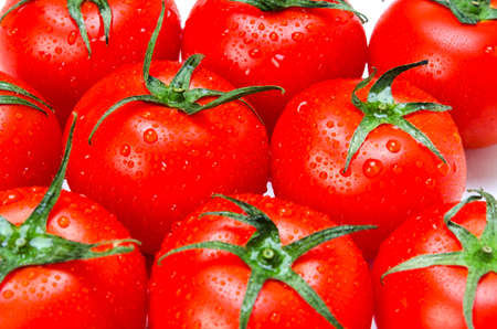 tomatoの写真素材