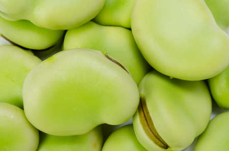 broad beanの写真素材