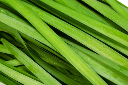 garlic chivesの写真素材