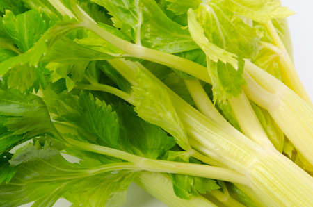 celery
の写真素材