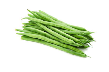 common bean
の写真素材