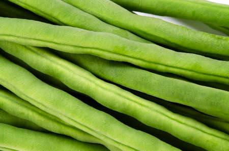 common bean
の写真素材