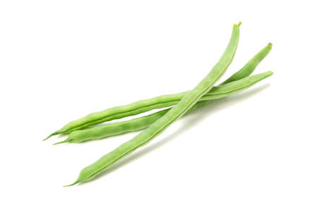 common bean
の写真素材