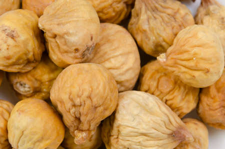 fig
の写真素材