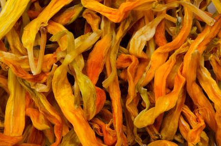 lily teaの写真素材