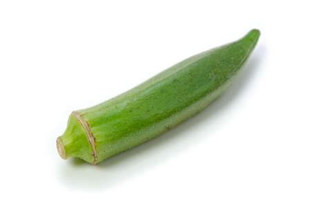 okra
の写真素材