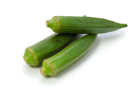 okra
の写真素材