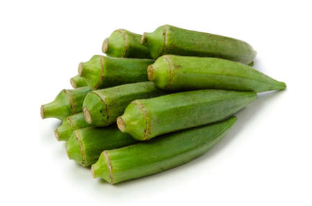 okra
の写真素材