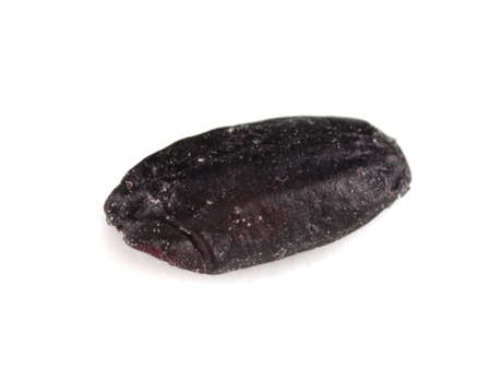 black riceの写真素材
