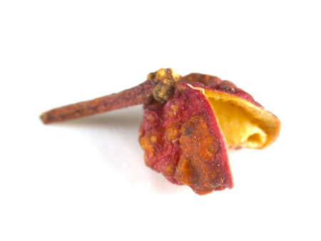 sichuan pepperの写真素材