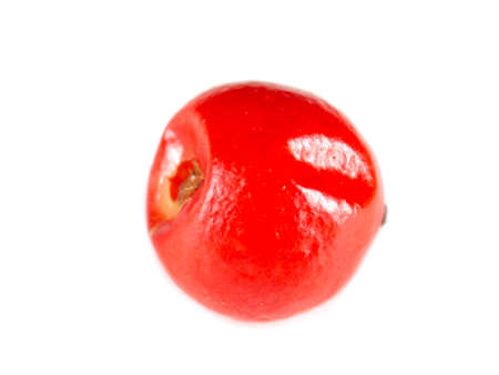 pink pepperの写真素材