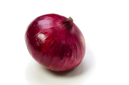 red onionの写真素材