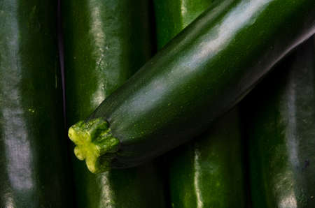 zucchiniの写真素材