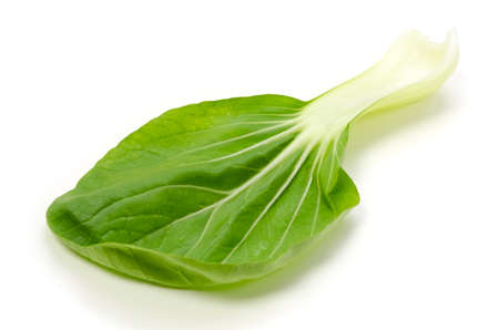 bok choyの写真素材