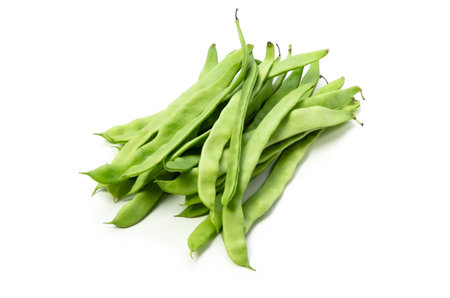 common bean