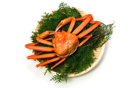 red snow crabの写真素材