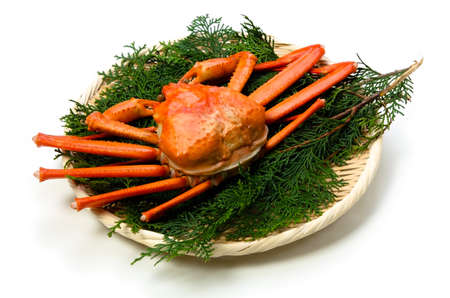 red snow crabの写真素材
