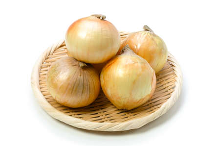 onionの写真素材