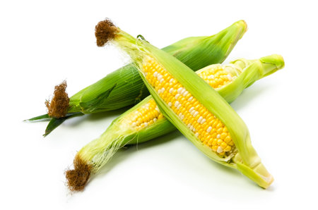 corn