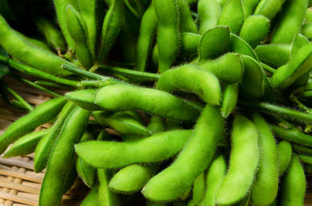 green soy beanの写真素材