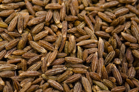 cumin seed