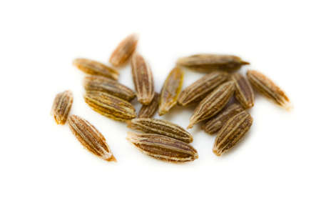 cumin seedの写真素材