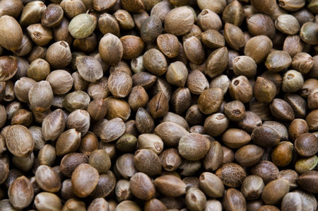 hemp