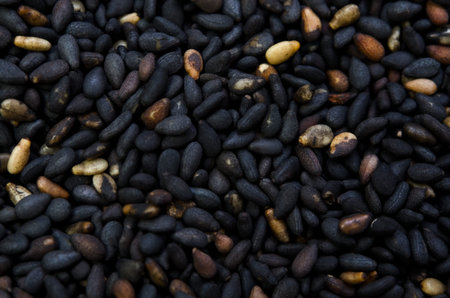 black sesameの写真素材