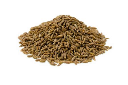 cumin seedの写真素材