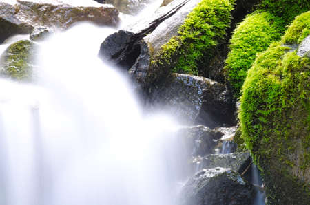 splash of mountain streamの写真素材