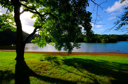 Lake Ippeki in Izu-Hakone National Park, Japan.の写真素材