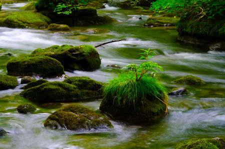 The oirasekeiryuu stream, Towada-Hachimantai National Park, Japan.の写真素材