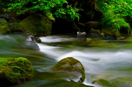 The oirasekeiryuu stream, Towada-Hachimantai National Park, Japan.の写真素材