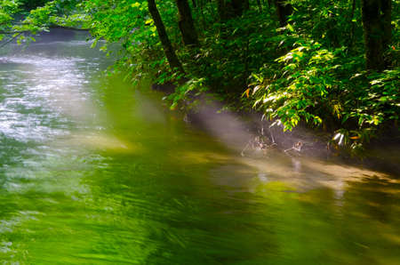The oirasekeiryuu stream, Towada-Hachimantai National Park, Japan.の写真素材