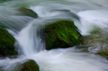 The oirasekeiryuu stream, Towada-Hachimantai National Park, Japan.の写真素材
