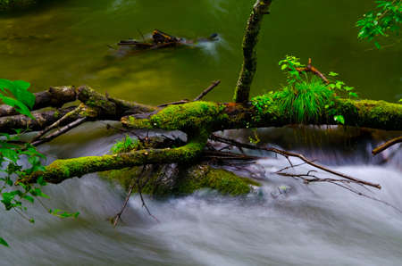The oirasekeiryuu stream, Towada-Hachimantai National Park, Japan.の写真素材