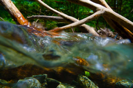 Underwater photography series    Obonaigawa River. This image was taken by underwater SLR.
の写真素材