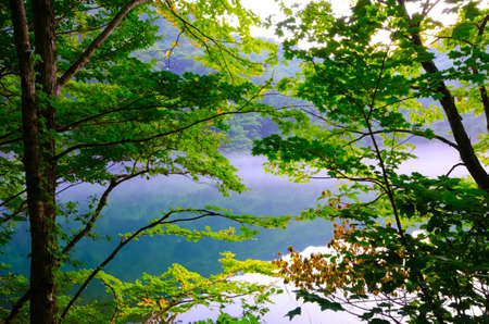 Juniko Lake, Shirakami Sanchi, Japan.の写真素材