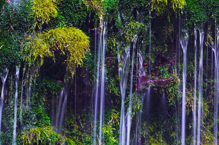 Mototakihukuryuusui Falls, Chokai National Park, Japan.の写真素材