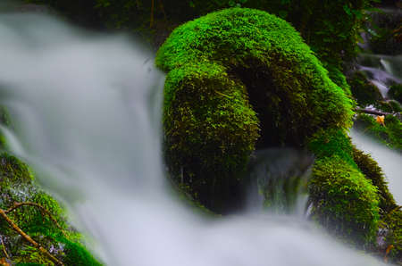 Mototakihukuryuusui Falls, Chokai National Park, Japan.の写真素材