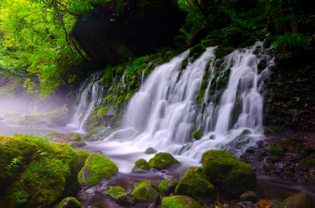 Mototakihukuryuusui Falls, Chokai National Park, Japan.の写真素材