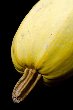 spaghetti squashの写真素材