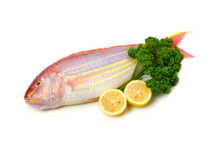 golden threadfin breamの写真素材
